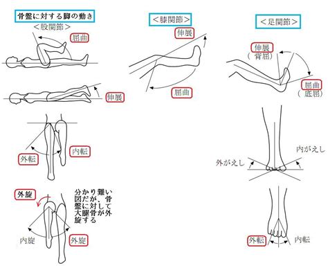 足閉じ正常位|正常位中、みんな脚はどうしてる？バリエーション・4つ 